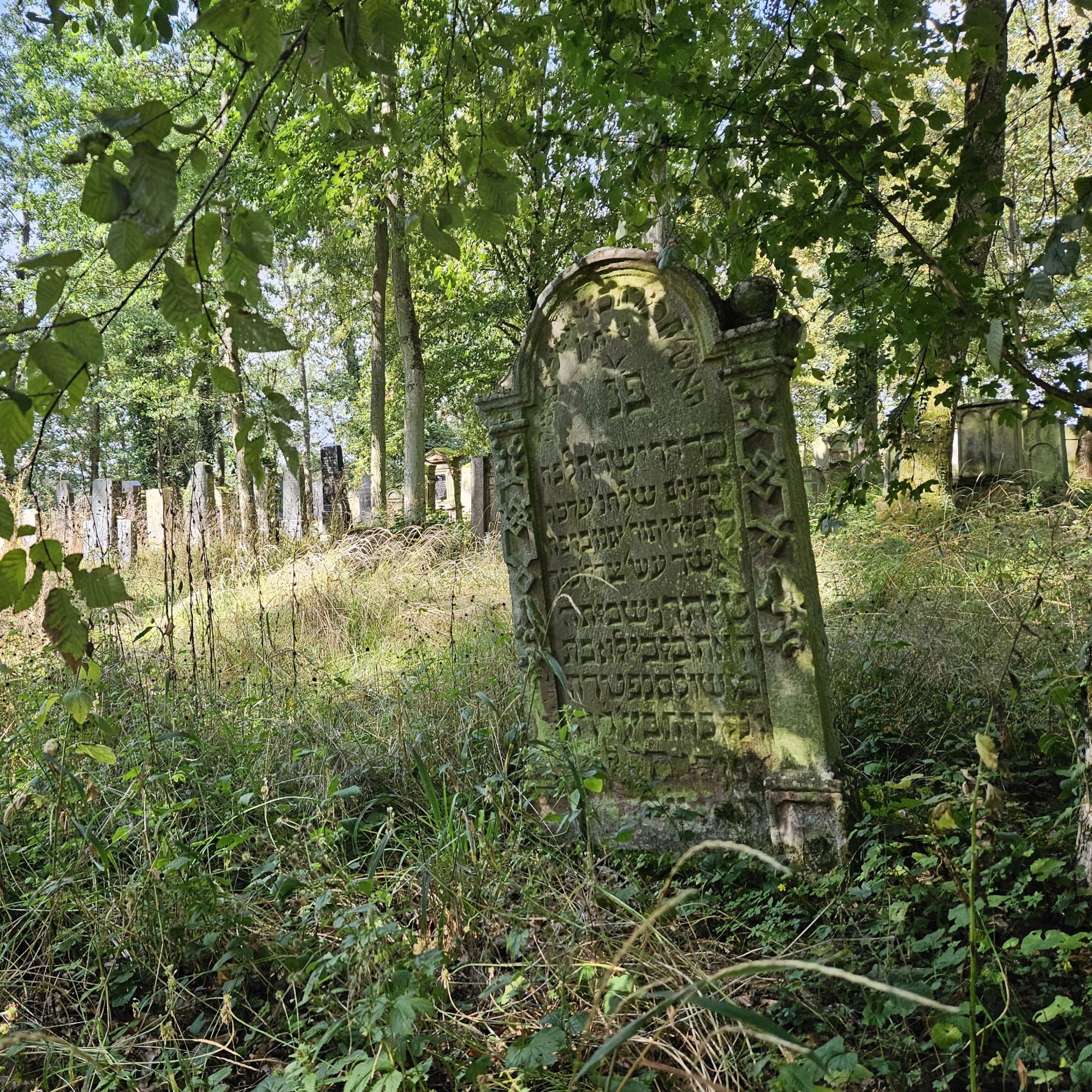 Der j&uuml;dische Friedhof in B&ouml;digheim im Jahr 2023 (Foto: Stadtarchiv Buchen)